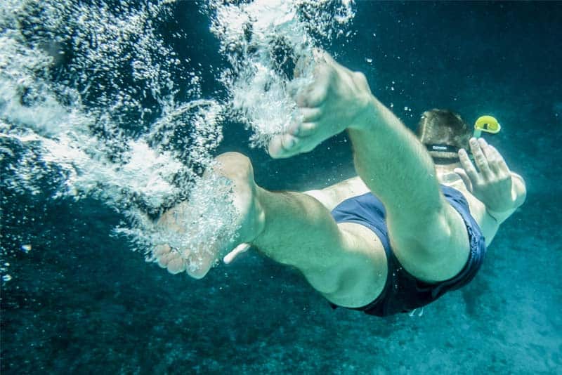 Snorkelling-House On The Rock